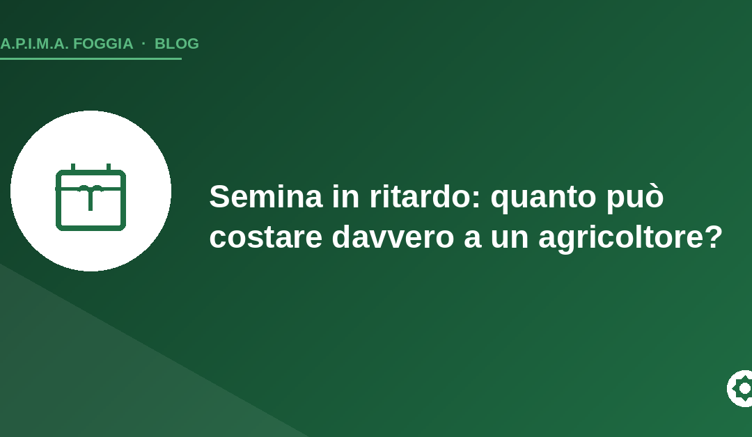 Copertina articolo: semina in ritardo in agricoltura - APIMA Foggia