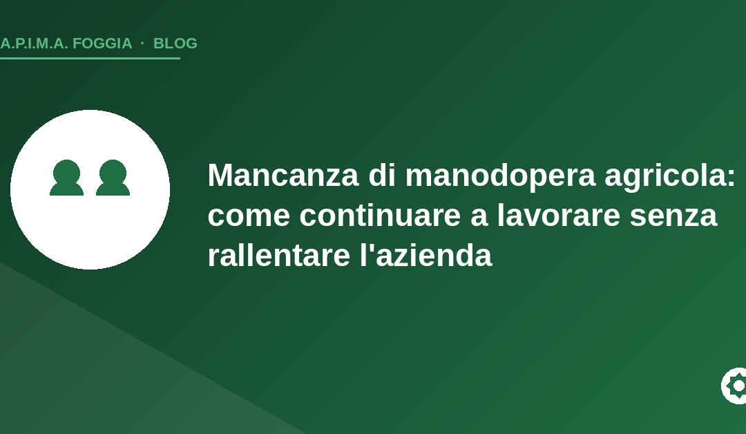 Copertina articolo: mancanza di manodopera agricola - APIMA Foggia