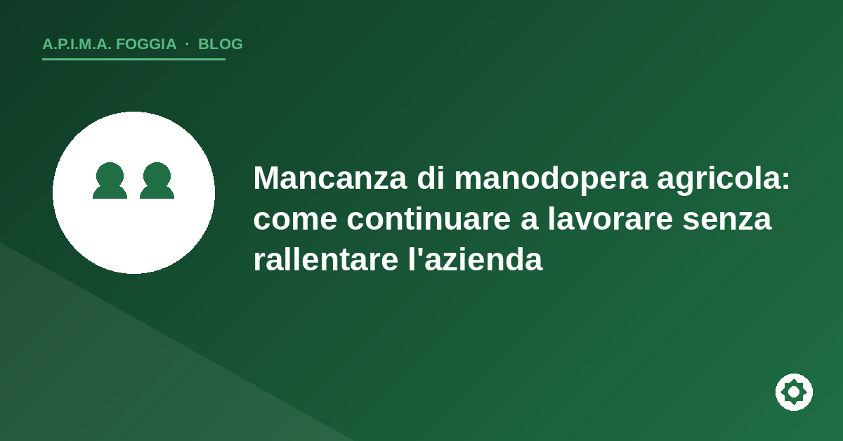Copertina articolo: mancanza di manodopera agricola - APIMA Foggia