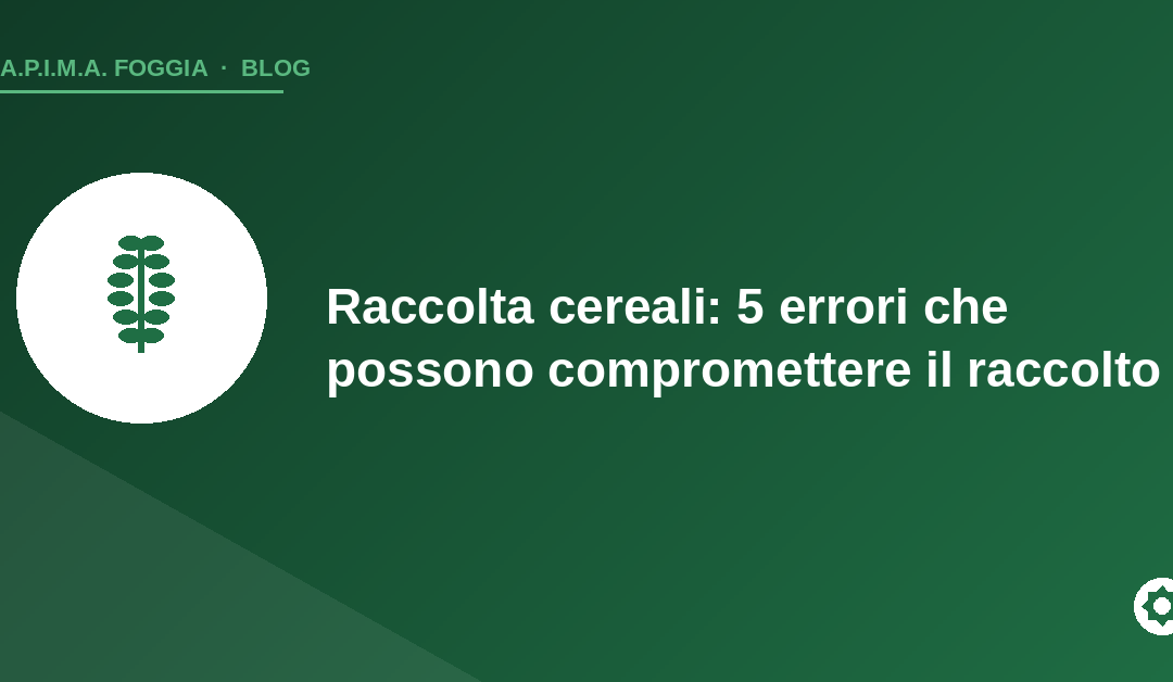 Copertina articolo: 5 errori nella raccolta dei cereali - APIMA Foggia
