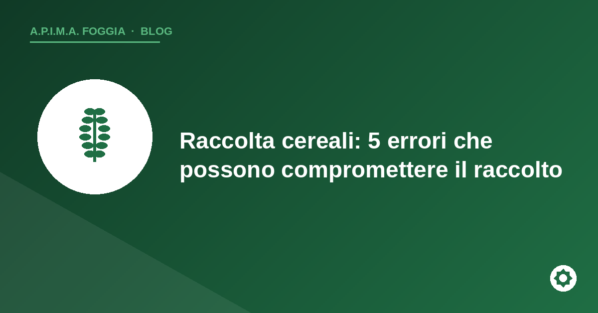 Copertina articolo: 5 errori nella raccolta dei cereali - APIMA Foggia